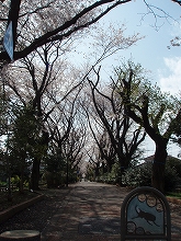 c0105785_1022213.jpg