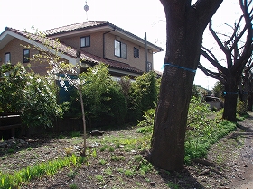 c0105785_10244585.jpg