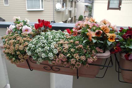 f0094391_214901.jpg