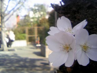 d0039992_2083315.jpg