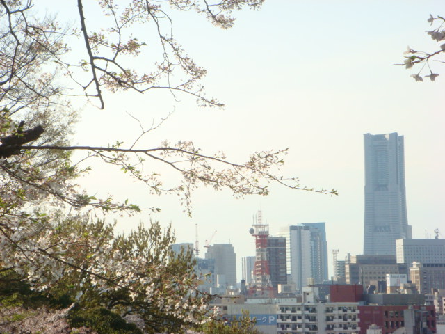 f0137694_1052982.jpg
