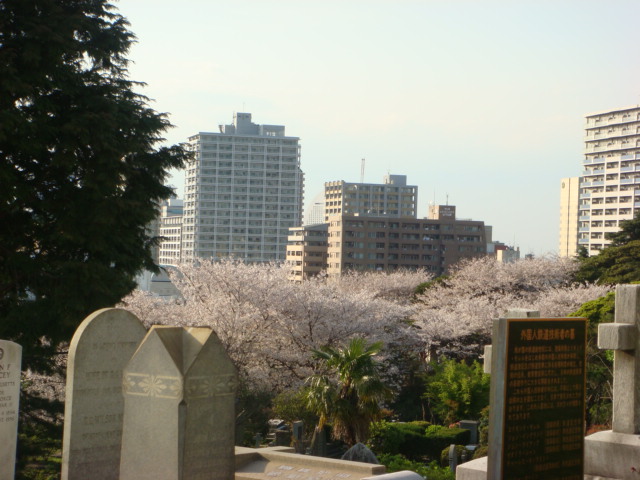 f0137694_1053306.jpg