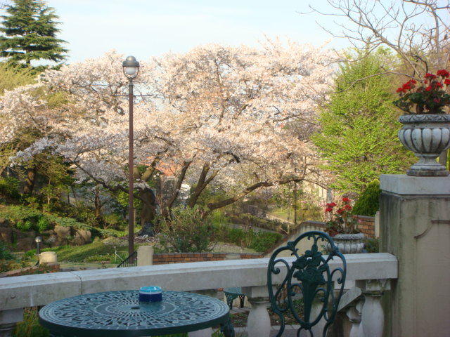 f0137694_10551125.jpg