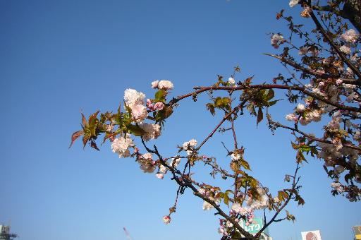a0018200_1265336.jpg