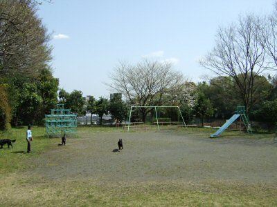c0050400_21591082.jpg