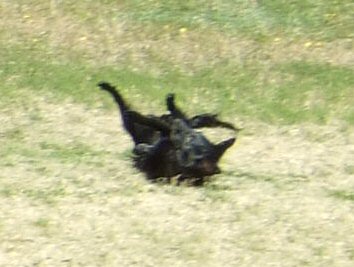c0050400_22371111.jpg