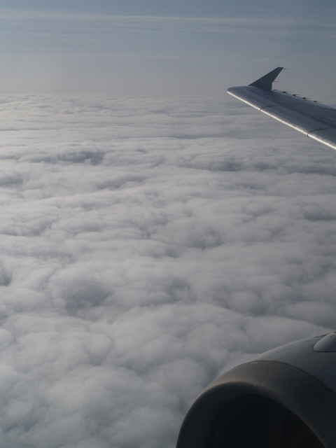 e0089001_2211741.jpg