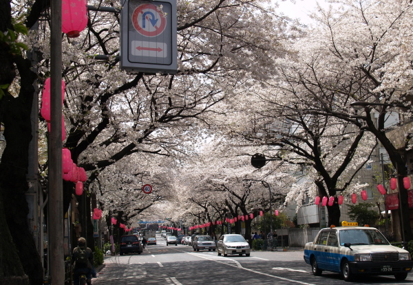 e0089001_2223213.jpg