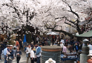 e0089001_22395353.jpg