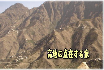 a0075802_23515928.jpg