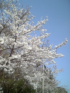 b0029704_22123910.jpg