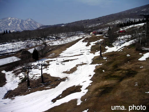 b0061004_437414.jpg