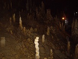 e0021004_19322413.jpg