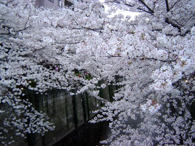 e0026704_122125.jpg