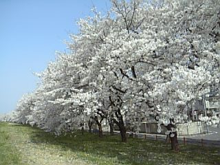 e0098908_219161.jpg