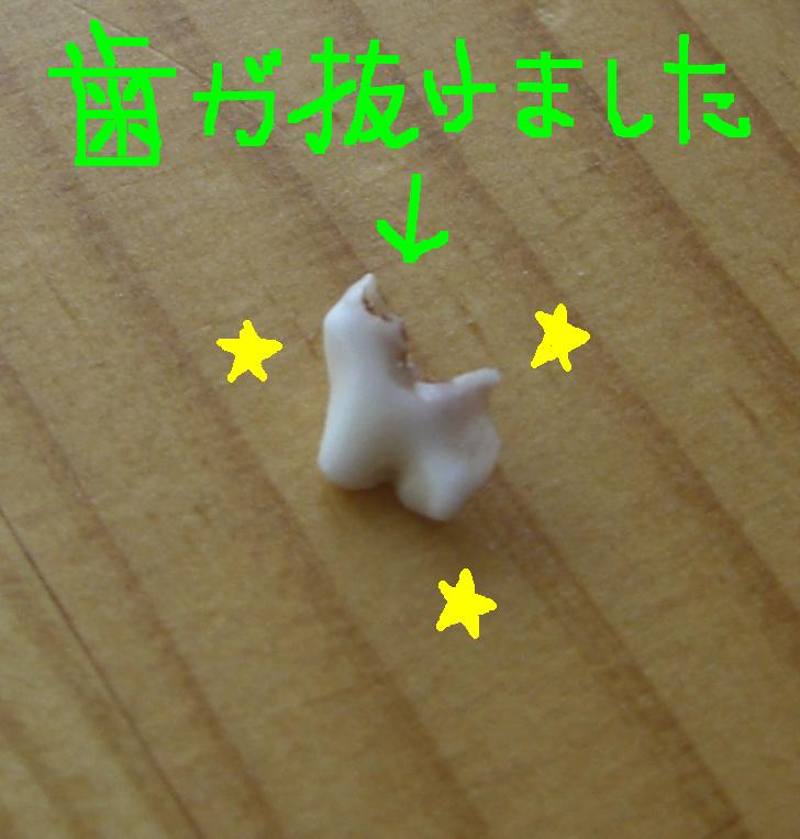 c0113109_0553818.jpg