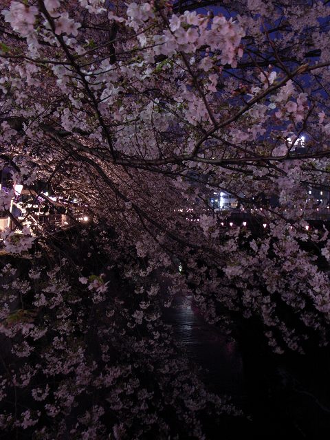 c0071611_10304149.jpg