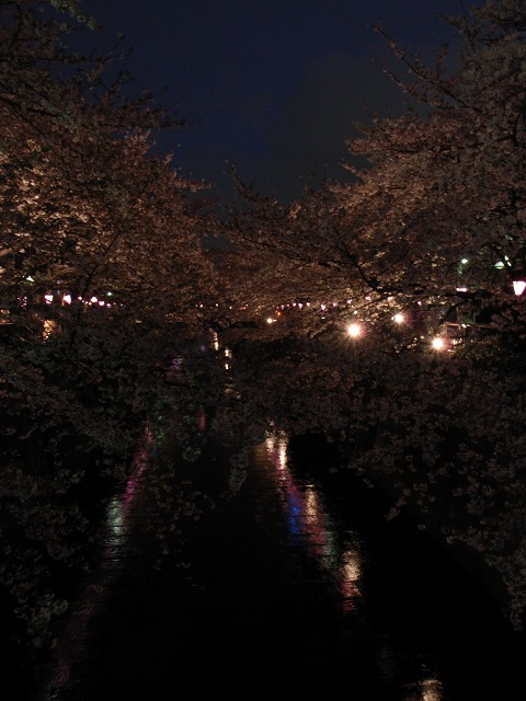 c0071611_10333042.jpg