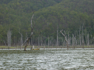 a0095112_14465518.jpg