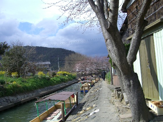 d0007913_23513548.jpg