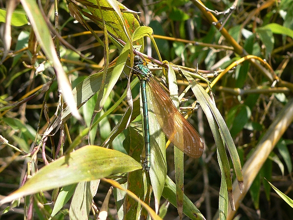 e0002314_2016515.jpg