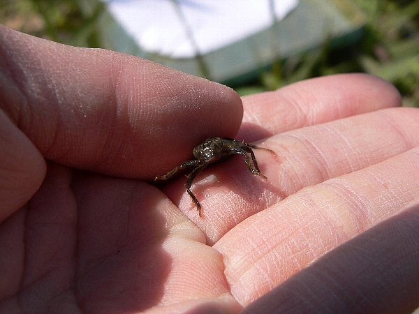 e0002314_2051683.jpg