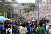 e0083517_22481951.jpg