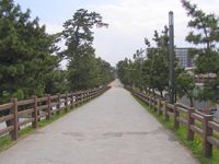f0107517_10101474.jpg