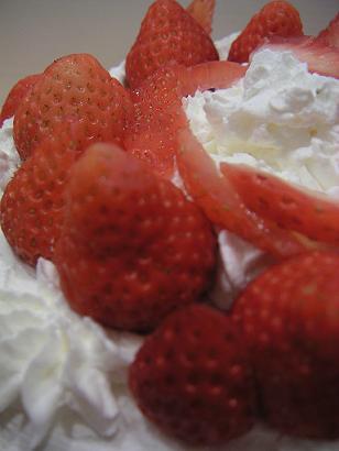 e0050218_218431.jpg