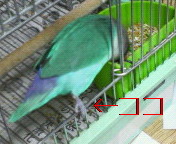 f0126418_16483075.jpg
