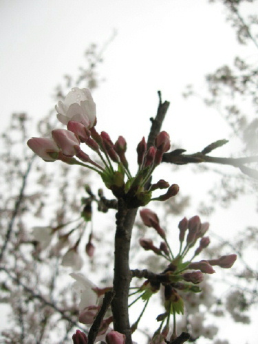 f0028125_17143289.jpg