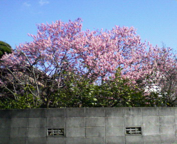 d0071228_22345652.jpg