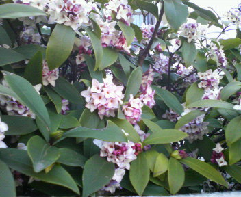 d0071228_22392763.jpg