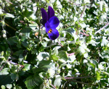 d0071228_2241332.jpg