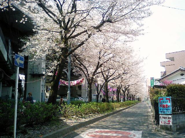 e0091334_17335310.jpg