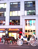 a0087045_16434672.jpg