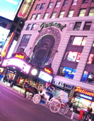a0087045_16441986.jpg