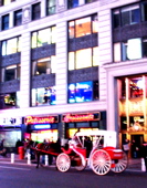 a0087045_1644493.jpg