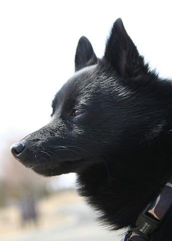 a0009750_23391677.jpg