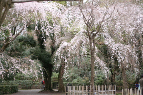 a0024250_2219444.jpg