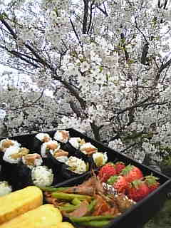 c0069552_21342231.jpg