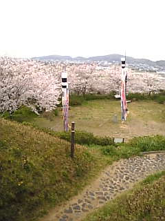 c0069552_21342233.jpg