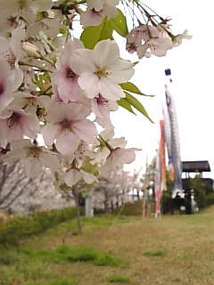 c0069552_21342291.jpg