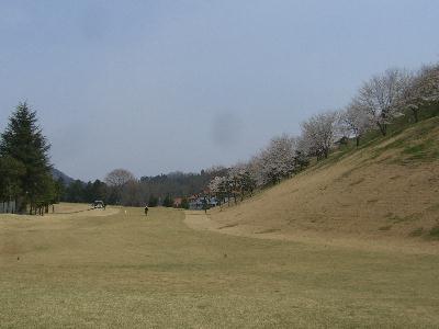 f0031554_2031339.jpg