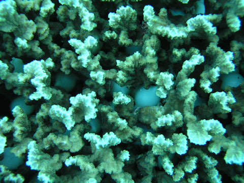 b0062363_20512829.jpg