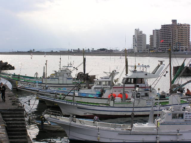 d0084765_11523861.jpg