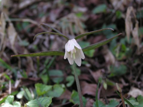 c0042869_20112950.jpg