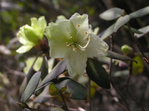 c0042869_20114380.jpg