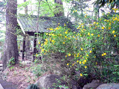 f0086169_21511629.jpg