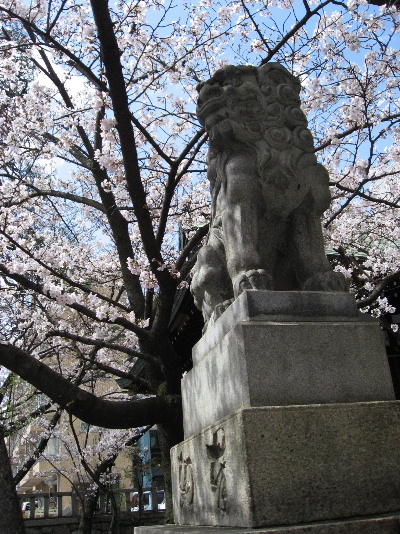 b0055171_11305417.jpg